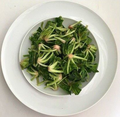 Ispanak kökü Salatası